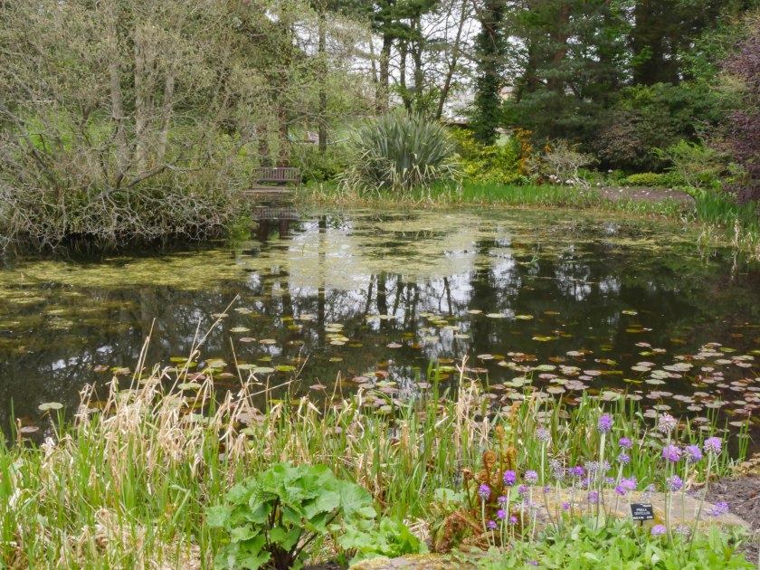 -1705_St Andrews BG135135