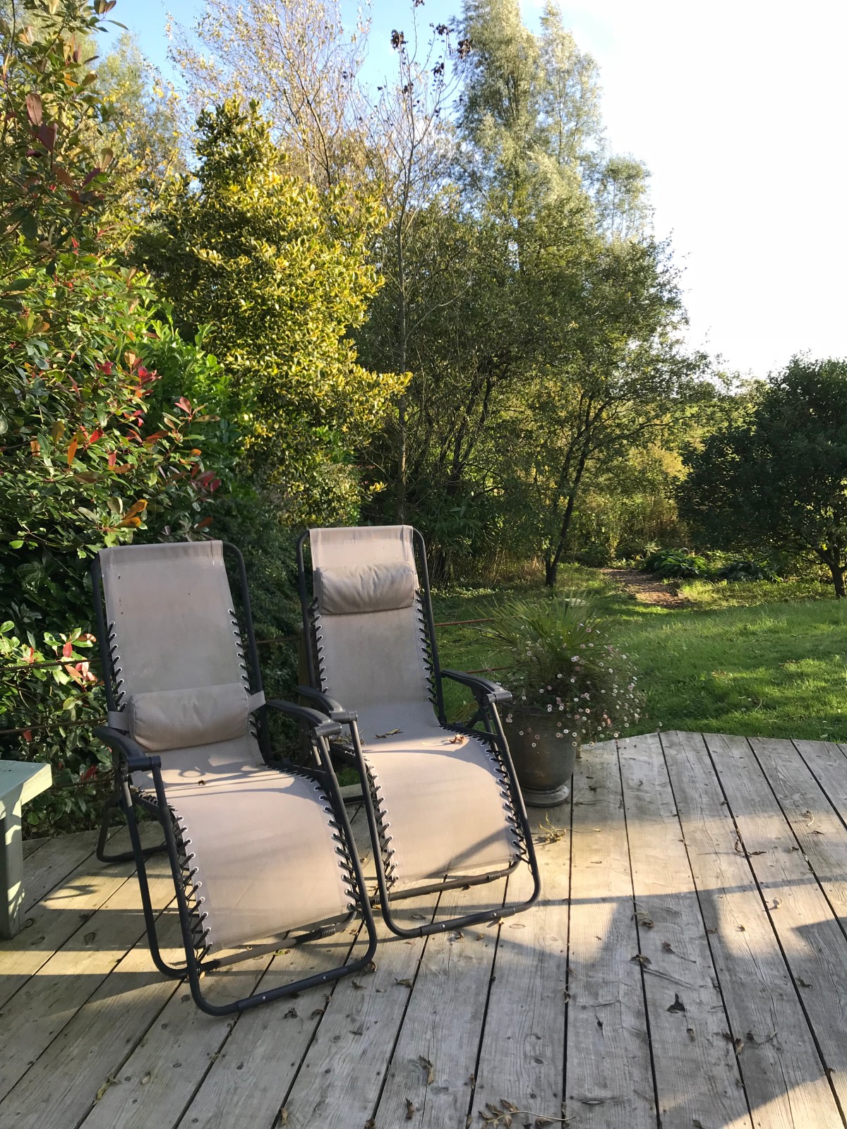 Summary week ending&nbsp;29/09/17