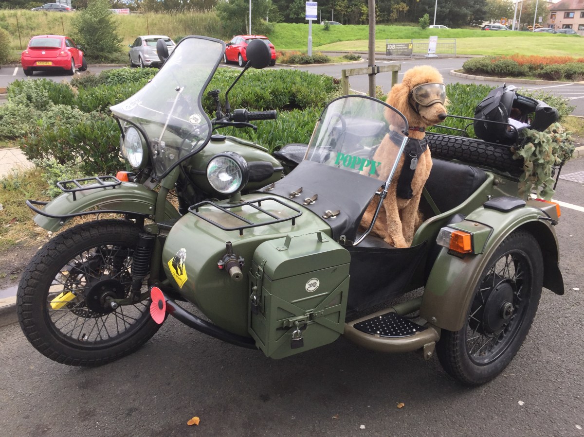 Summary week ending&nbsp;15/09/17