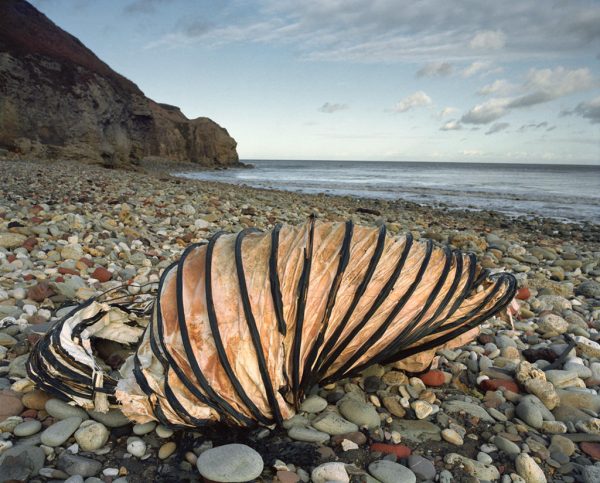 213-024-LC-jpg-10297-600x483