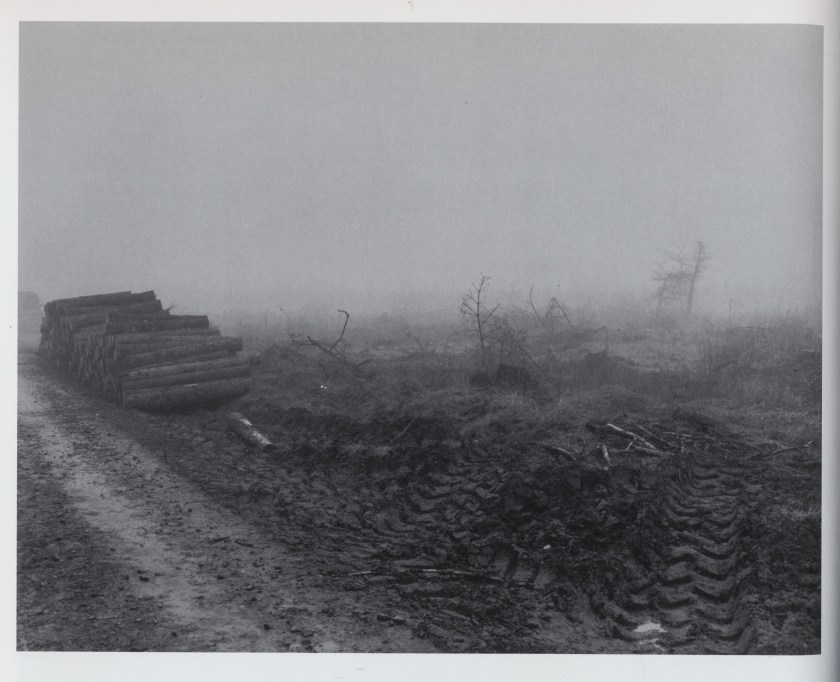 Keith Arnatt - Dean Forest