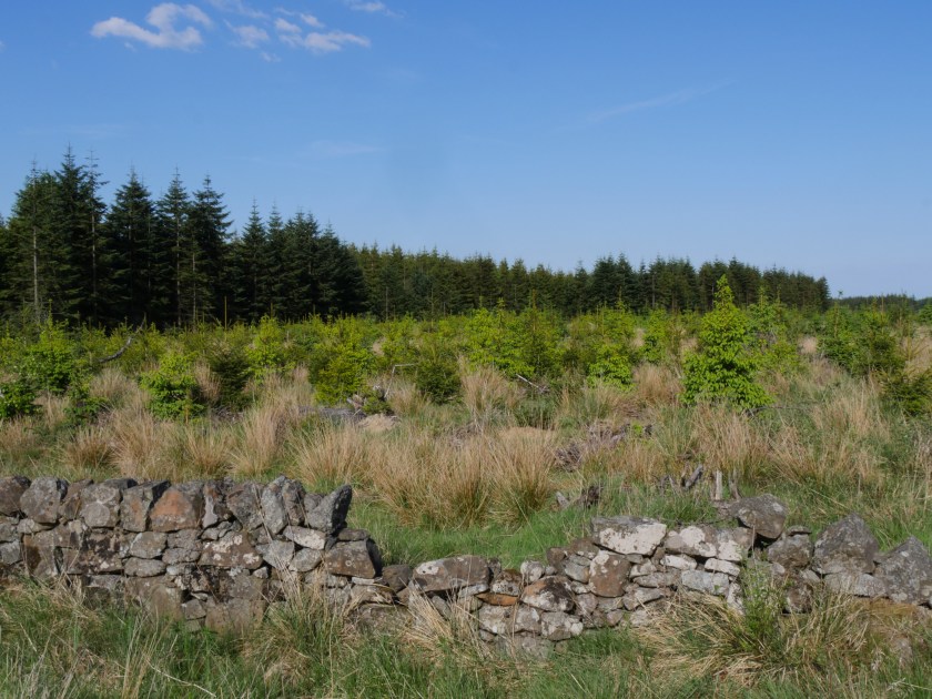 1 - Forestry in Scotland