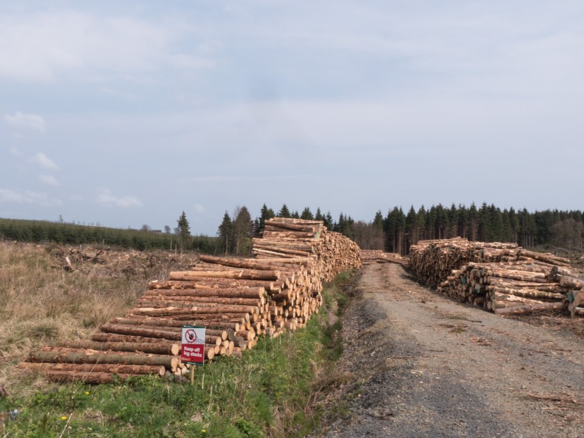 6 - Forestry in Scotland