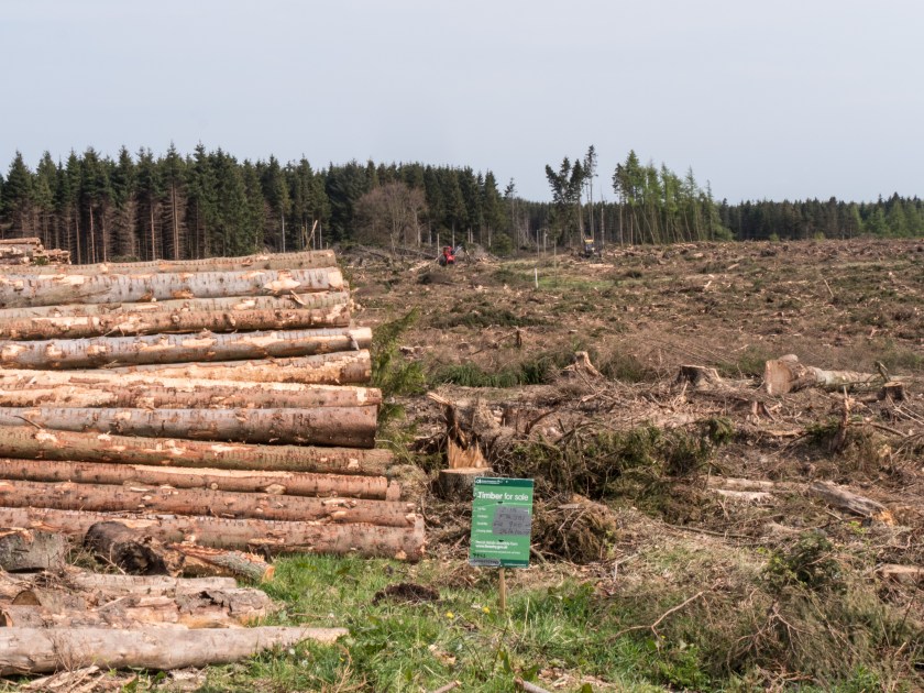 8 - Forestry in Scotland