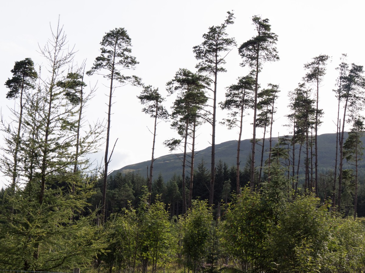 Assignment 5 – Photography is&nbsp;Simple