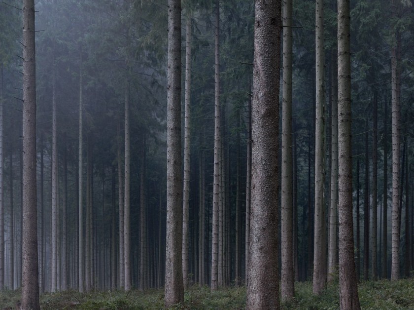 Michael-Lange-photo-eye-wald-2016-954x714